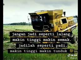 Jangan lelah bekerja di ladangnya tuhan roh kudus yang b'ri kekuatan yang mengajar dan menopang. Jangan Jadi Seperti Lalang Jadilah Seperti Padi Djhz Youtube