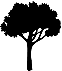Black And White Silhouette Black And White Tree Clipart Oak Tree Silhouette Clipart Library Free Clipart Images Oak Tree Silhouette Silhouette Clip Art Tree Silhouette