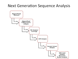 gene arrays dna sequencing analysis