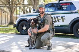 Meet K9 Scout* and Deputy Bryan Wright! K9 Scout* and Deputy ...