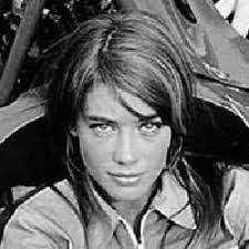 Significado da música BOSSE BOSSEZ BOSSA (Françoise Hardy)