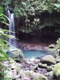 Emerald Pool Barbados Rain Forest Barbados Rainforest Favorite Places