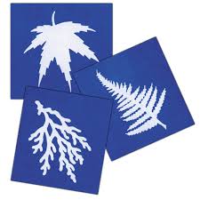30 Pack Of Sun Sensitive Paper Steve Spangler Science