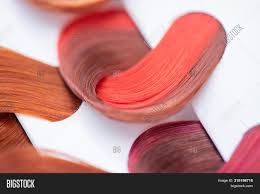 Hair Color Chart Image Photo Free Trial Bigstock