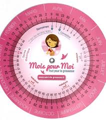 Calcul de grossesse en semaines d'aménorrhée : Roulette Grossesse Roulette De Grossesse