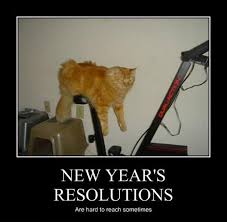 Best Happy New Year 2017 Funny Meme New Years Resolution Funny New Year Jokes Funny New Year
