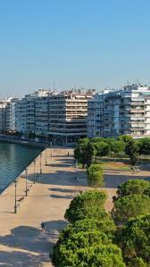 Image result for Vepris macedoi