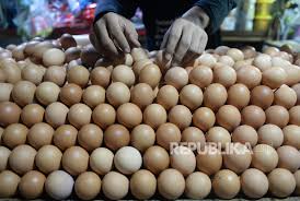 Sedangkan harga ayam potong di medan berkisar rp 17.400. Jelang Natal Harga Telur Dan Daging Ayam Ras Di Medan Naik Republika Online