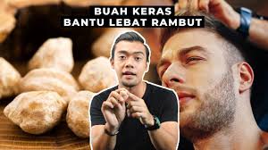 Yang penting sekarang ni rambut makin tebal dan panjang dan masalah rambut nipis pun hilang. Petua Lebatkan Rambut Guna Minyak Buah Keras Lespettua Petua Turun Temurun