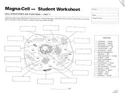 Cell Diagram Animal Call Jpg 2160 1664 Cells Worksheet Plant Cells Worksheet Cell Diagram