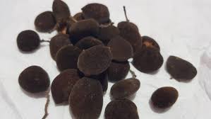 Image result for Dialium guineense