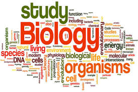 Read on for some hilarious trivia questions that will make your brain and your funny bone work overtime. 120 Biology Quiz Questions Answers Learn About Biology Q4quiz