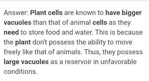 Gap junctions in animal cells are like plasmodesmata in plant cells in that they are channels between structurally, however, gap junctions and plasmodesmata differ. 20 Why Do Plant Cell Passes Large Sized Vacuole Brainly In