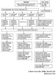 Protocol For Fluid Resuscitation Of The Adult Burn Patient