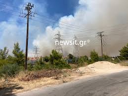Ο αδερφοσ του, ο ακησ. Dnolws8ooie9hm