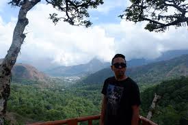 Di taman wisata pusuk, kamu bisa menyaksikan keindahan gunung rinjani yang dikelilingi hutan hijau nan lebat. Pesona Taman Wisata Pusuk Sembalun Lombok Duniaindra