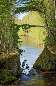 Finnish Presidents as Landscapes (Ai images) : r/Finland