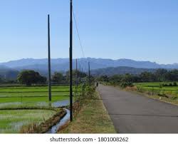 You will see their verified name if you enter into a contract together. Stock Photo And Image Portfolio By Azwar Yuzarsif Shutterstock