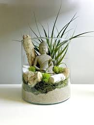 Decorating With Air Plants Air Plant Displays And Terrarium My Tasteful Space Large Air Plants Succulent Garden Diy Air Plant Display