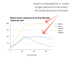 Insulin Resistance And Pcos What Causes It And What Should