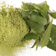 They are of course from the same family but from two different orders: Neem Extract Organic Neem Leaf Powder Dry Azadirachta Indica Buy Pure Neem Powder Neem Leaf Extract Azadirachta Indica Product On Alibaba Com