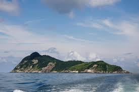 The fact that the snake population increases rather fast on this island does show that this is a great. What It S Like To Visit Snake Island Home To 4 000 Deadly Vipers With Venom That Can Melt Your Skin