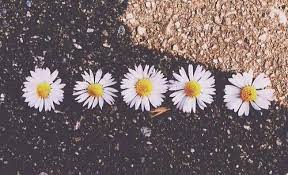 Summer Tumblr Hipster Photography Facebook Cover Images Tumblr Photography
