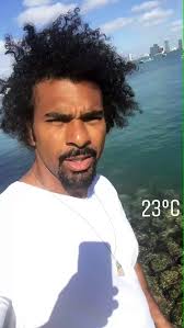 @davidhaye's video Tweet