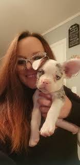 Chandler Willett's Instagram, Twitter & Facebook