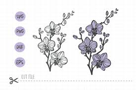 Orchid Flower Svg Cut File Flower Silhouette Vector Orchi 751192 Cut Files Design Bundles