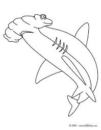 Perfect for a classroom activity, this printable hammerhead picture can be used to teach students how to draw. Shark Coloring Pages Great Hammerhead Shark Shark Coloring Pages Shark Coloring Animal Coloring Pages