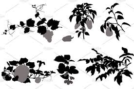 Vegetables Fruits And Berry Berries Stuffed Bell Peppers Fruit