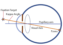 Image result for Visual Fixation