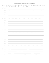 These steps differ in prokaryotic and eukaryotic cells. Pin By Lisa Lopez On Biology Transcription And Translation Dna Astonishing Practice Worksheet Picture Ideas Samsfriedchickenanddonuts