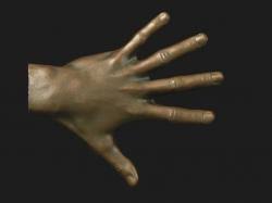 Hand Reference 3d Print Model Stlfinder 1813 free female 3d models for download, files in 3ds, max, maya, blend, c4d, obj, fbx, with lowpoly, rigged, animated, 3d printable, vr, game. stlfinder