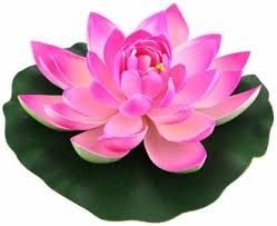 There isn't a connection between the bible and a lotus flower. Aakriti Artificial Lotus Flower For Home Decoration And Aquarium Pound Fish Tank Lotus Flower Lotus With Leaf For Decoration 18 Cm In Diameter 2 Pcs Multicolor Lotus Artificial Flower Price In India Buy