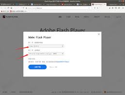 Adobe flash player npapi 32.0.0.465 can be downloaded from our website for free. Ubuntu 18 04 Under The Video Player To Solve The Lack Of Adobe Flash Programmer Sought