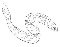 100% free coloring page of electric eel. Realistic Fish Coloring Pages Free Printable Fish Coloring Pages Realistic Print Angry Birds Fish Coloring Page Coloring Pages Online Coloring Pages