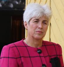 Académicas UPLA y comunidad de Laguna Verde trabajan en la recuperación del  humedal “El Sauce”