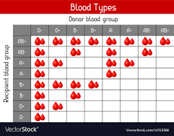 Chart Of Blood Types In Drops Medical And Vector Image