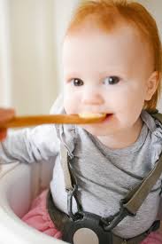 Sweet Potato Risotto Recipe For Babies The Mama Notes