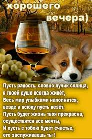 щедрый вечер добрый вечер добрым людям на весь вечер Pin By Lyudmila Bojko On Otkrytki Animals Corgi Dogs