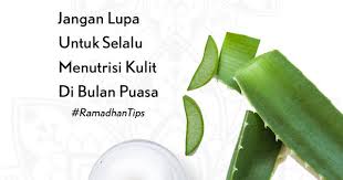Bagaimana Puasa Anda Hari Ini Masih Semangat Semoga Puasa Dan Ibadah Yang Dikerjakan Berjalan Lancar Dan Berkah Bagi Anda Semua Yang Kulit Nutrisi Kecantikan