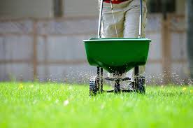 Keep mowing the lawn but if the weather starts to dry, raise the height of the mower and mow a little. Lawn Care Calendar For Warm Season Lawns