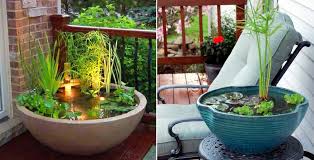 12 midsize inground pond with lilies and small waterfall. Lockdown Day 8 Set Up An Amazing Balcony Pond Today With These Tips