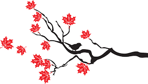 Bird On Tree Branch Tattoo Maple Tree Branch With Birds Maple Tree Tattoos Tree Branch Tattoo Tree Tattoo