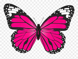 Collection of butterfly icons and symbols. Butterfly Clip Art Pink Butterfly Clipart Png Transparent Png 65608 Pinclipart