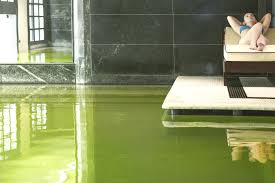 Check spelling or type a new query. Wellnesshotel In Der Emilia Romagna Grand Hotel Castrocaro