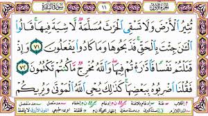 القرآن الكريم مقسم صفحات الشيخ حاتم فريد سورة البقرة صفحة 11 مكتوب Arabic Calligraphy Quran