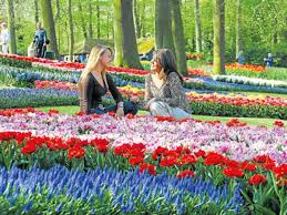 Reisen sie mitte april nach holland, um die tulpen in ihrer ganzen pracht zu bewundern. Im Hollandischen Keukenhof Beginnt Der Fruhling Reise